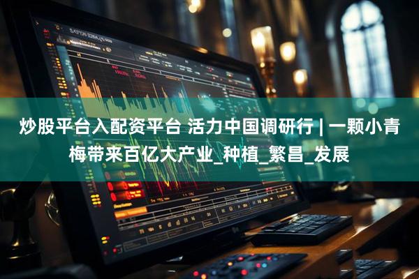 炒股平台入配资平台 活力中国调研行 | 一颗小青梅带来百亿大产业_种植_繁昌_发展