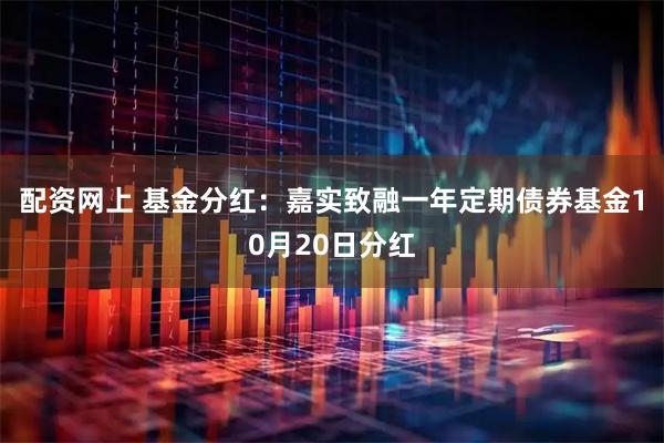 配资网上 基金分红：嘉实致融一年定期债券基金10月20日分红