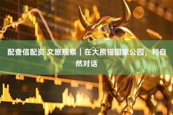 配查信配资 文旅观察|在大熊猫国家公园,和自然对话