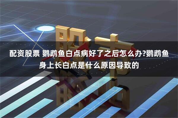 配资股票 鹦鹉鱼白点病好了之后怎么办?鹦鹉鱼身上长白点是什么原因导致的